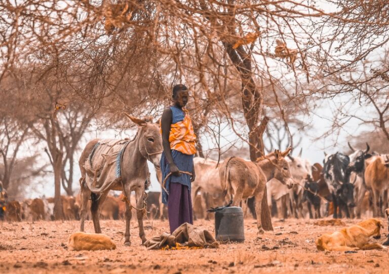 Journey to the Heart of the Maasai (Post-Trip Impressions)