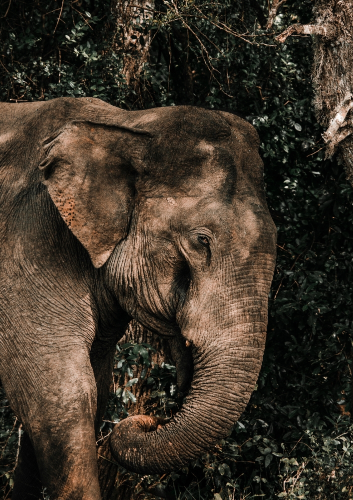Home page (12)